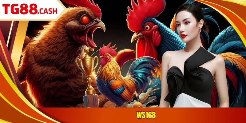 WS168